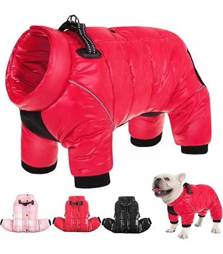 Manteau Et Chaussures D’hiver Pour Chien – Imperméable, Respirant, Avec Bandes Réfléchissantes - 8