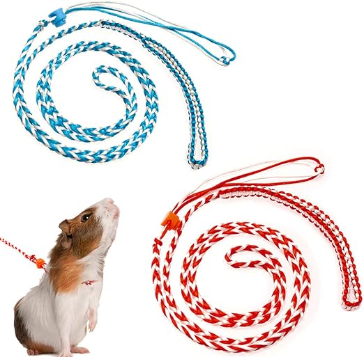 hamster harness petco