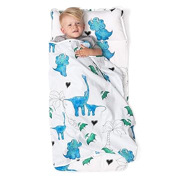 dinosaur sleeping bag baby
