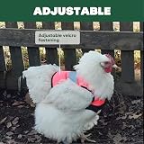 Omlet High-Vis Chicken Jacket Pink Warm Winter Hen Saddle Cold Weather view 3
