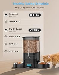 HoneyGuaridan 5L Automatic Cat Feeder for Two