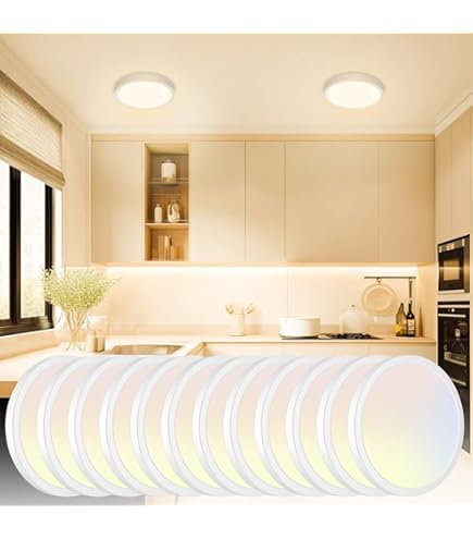 TopLLC 12 Inch LED Ceiling Light Flush Mount, Flat Round Shaped Light Fixture With 3000K/4000K/6000K 3 Color Temperature, Modern Style Slim Ceiling Lamp With Acrylic Shade For Bedroom Living Room