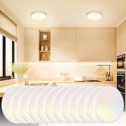 12Pack LED Flush Mount Ceiling Light, Dimmable