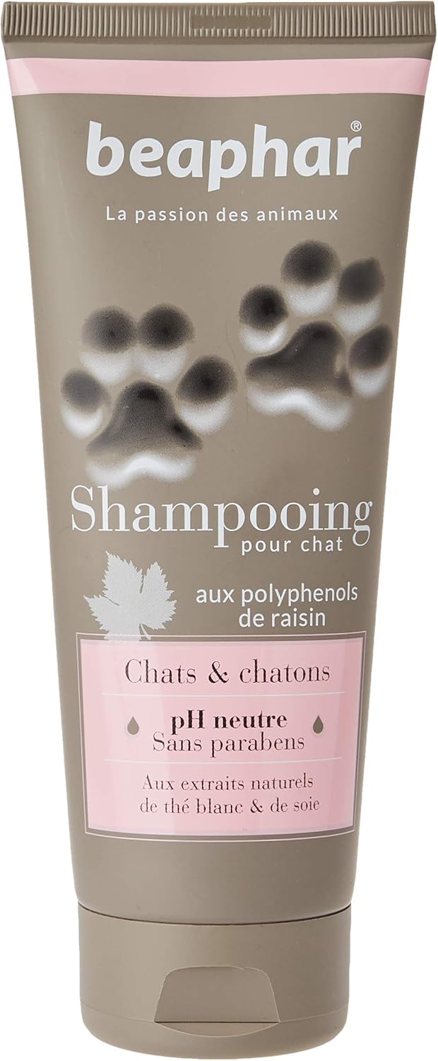 Beaphar Premium Shampoo for Cats and Kittens 200 ml Amazon.co.uk Pet