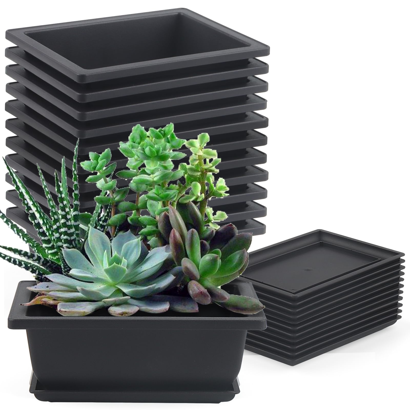 MUKCHAP 12 PCS 6.5 x 4.7 x 2.4 Inch Plastic Bonsai Training Pots, 16.5 x 12 x 6cm Bonsai Planter Pots with Tray, Rectangle Plant Pot for Garden, Balcony