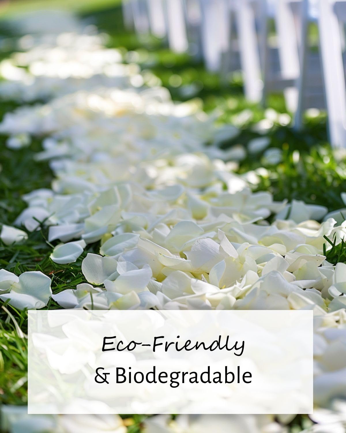 3.5oz REAL Rose Petals, Pearl White Freeze-Dried Petals Biodegradabel Wedding Natural Confetti, Perfectly Preserved Flower Petals for Table Decorations 100g