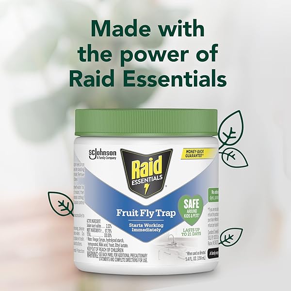 RAID ESSENTIALS FRUIT FLY TRAP FOR INDOORS, MADE WITH ESSENTIAL OILS, CHILD AND PET SAFE, 5.4 OZ