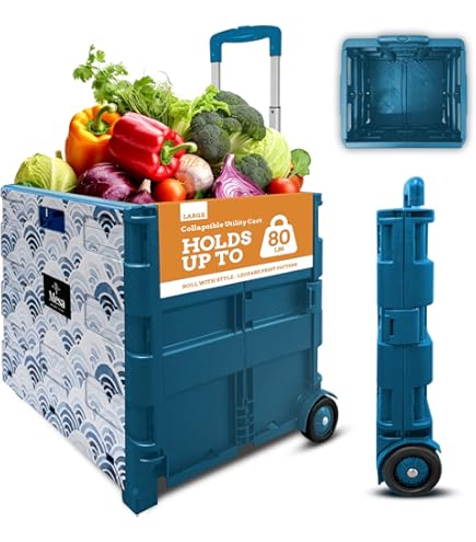 2CD＋VHS Can Box Amazon.com: T WaveTree VHS Storage Box with Lid, Practical VHS