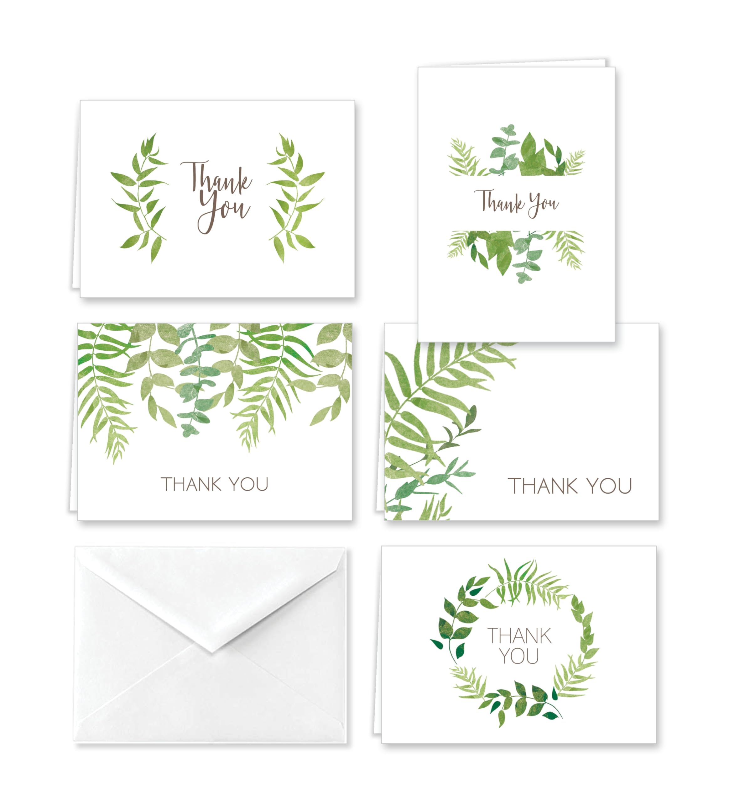 Paper Frenzy Elegant Ferns Thank You Note Cards and Envelopes - 25 pack