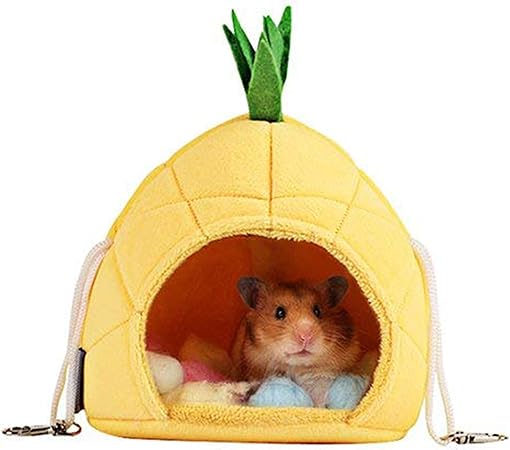 guinea pig accessories amazon