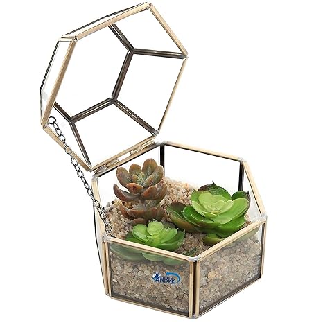 ANBW Handicraft Hexagonal Clear Glass & Brass-Tone Metal Hinged Top Lid Terrarium Box/Tabletop Display Case Size- 4.75 W X 3.25 H