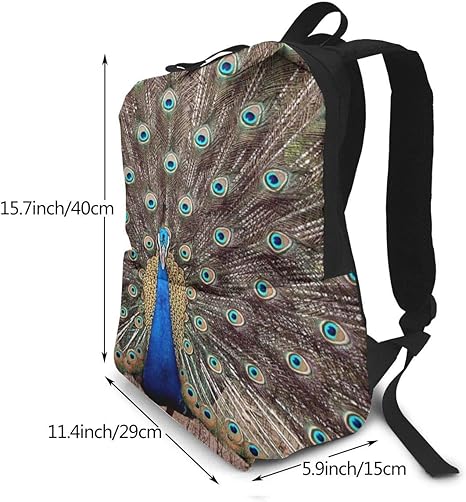 Amazon Co Jp 双肩バッグ リュックサック Peacock Animal バックパック Schoolbag 大容量 通学 中学生かばん リュック スクエアリュック 男女子高校生 バック 通学 通勤 40x29x15 Cm ホーム キッチン