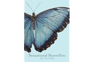 Sensational Butterflies (Rothery's Animal Planet Series)