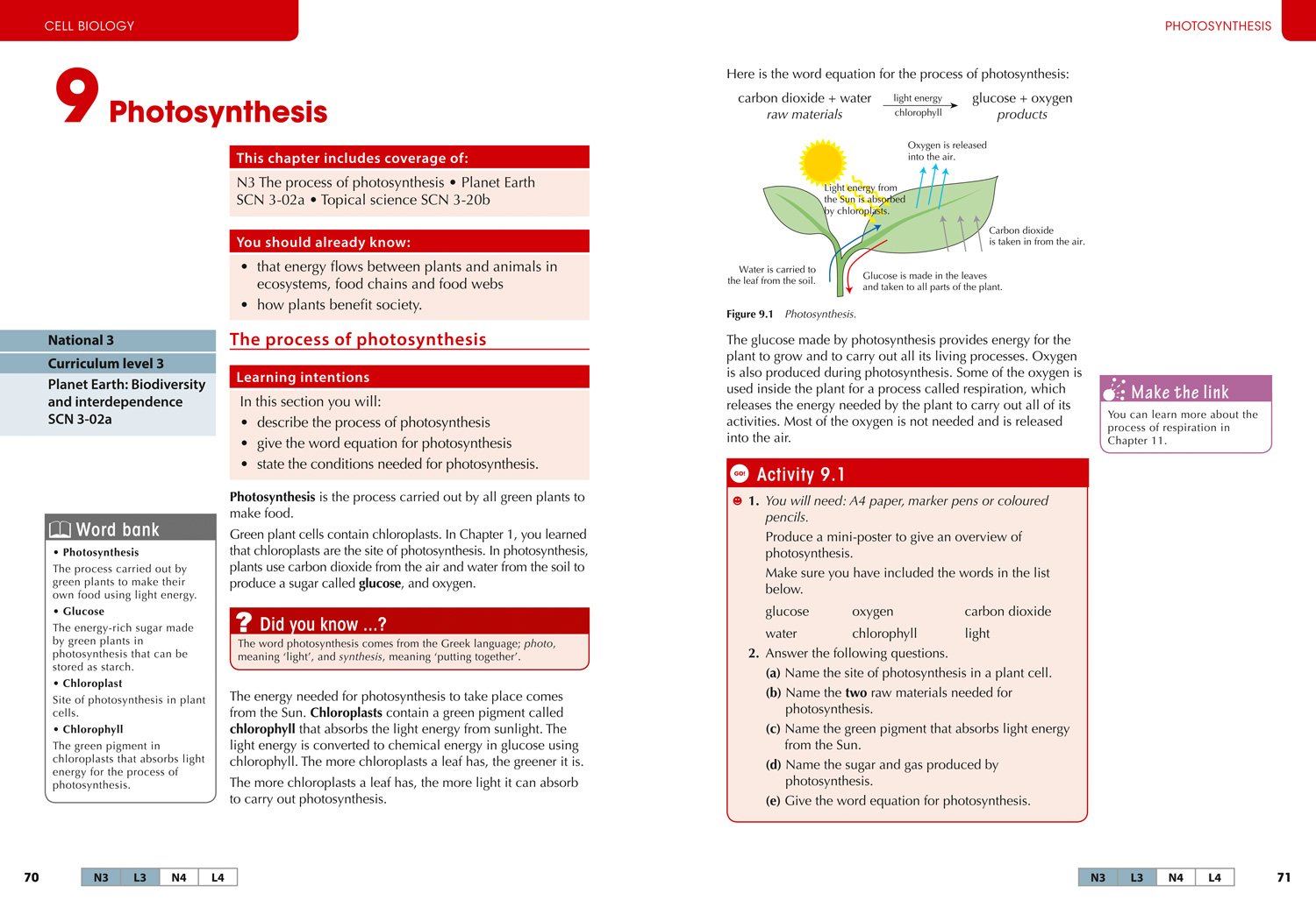 Holy cross biology picture