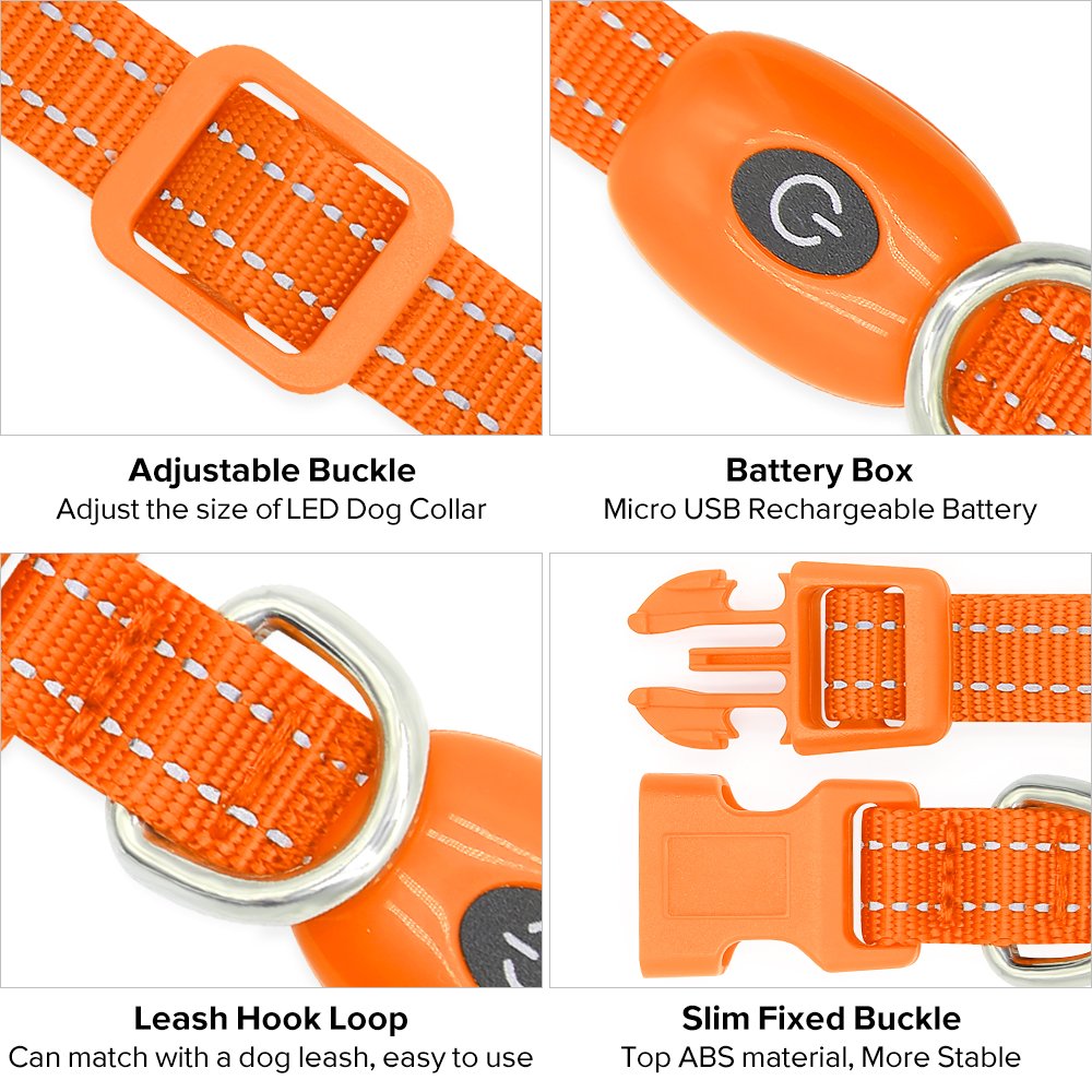 Clan_X Led Dog Collar, USB Rechargeable light up Pet Collar for small dogs, Glowing in the Dark Nylon Webbing Flashing Collar with Reflective Stitches Make Your Pets Visible & Safe (Orange)