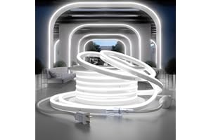HRGXYUN 110V LED Rope Light, Dimmable 49ft LED Neon with Memory Function,Commercial Neon Strip Light Outdoor Waterproof,ETL Listed Cool White LED Neon Rope Lights for Supermarket,Building, Party