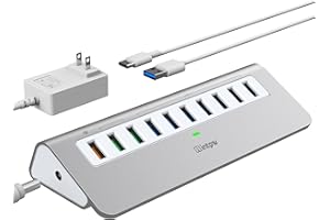 Intpw Powered USB Hub 10Gbps, 10 Port USB 3.1 Gen 2 Hub with 7 USB 3.1 Data Ports, 3 Fast Charging Ports, 36W Power Adapter, Type A and Type C Cable, Aluminum USB Data Hub for Mac, PC, Laptop
