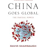 China Goes Global: The Partial Power