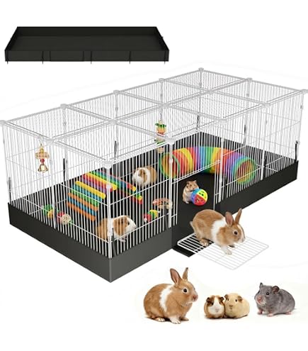 Amazon.com : 47