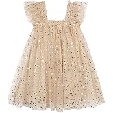 AGQT Baby Girls Tutu Dress Sleeveless Toddler Infant Tulle Tutu Layered Lace Mini Dresses Size 9M-5T