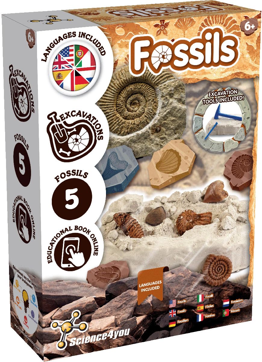 Science4you Fossil Dig Kit for Kids Age 6+ – Learn about Paleontology with this Excavation Kit, Discover All the Incredible Fossils, A Paleontology & Educational Gift for Girls & Boys Age 6 7 8 9+