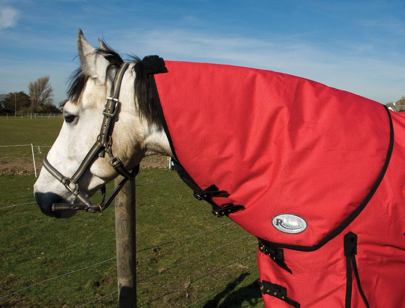 Rhinegold Konig Neck Cover, Medium, Red