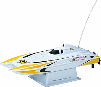 Amazon.com: Aquacraft Mini Wildcat Catamaran RTR Boat 