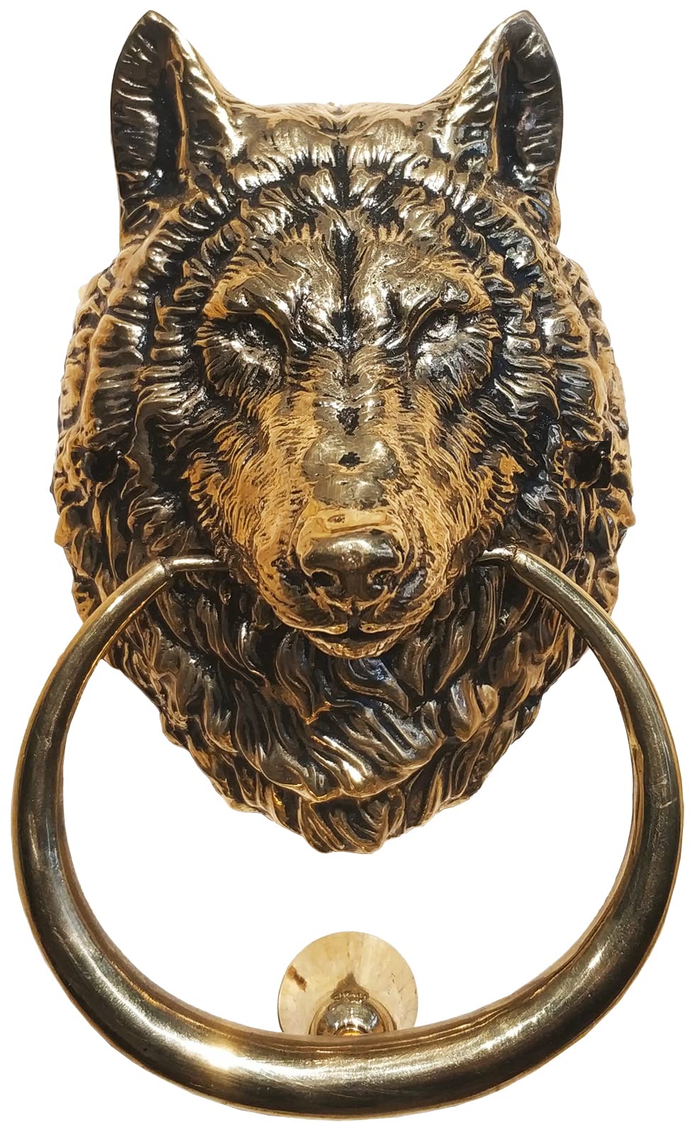 Wolf Head Door Knocker,6.3 inches Tall,Solid Brass,Wolf Front Door Ornament(Antique Brass)