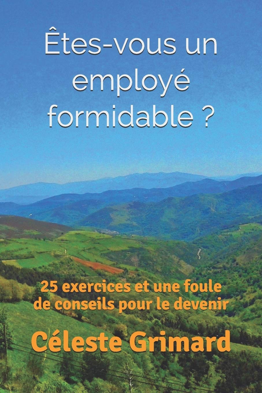 Etes Vous Un Employe Formidable 25 Exercices Et Une Foule De Conseils Pour Le Devenir French Edition Grimard Celeste Amazon Com Books Etes Vous Un Employe Formidable 25 Exercices Et Une Foule De Conseils Pour Le Devenir French Edition Grimard Celeste Amazon Com Books