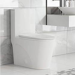 American Standard 221CB.104.021 Colony Toilet Combo