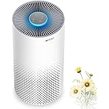 Air Purifier for Home Smokers 99.99% Effective, 22db |True H13 HEPA Medical Grade Filter Air Cleaner Removing Allergies, Odor
