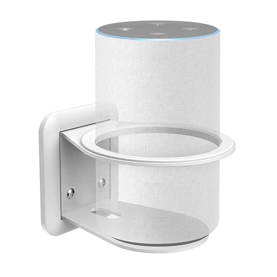 ring compatible google home