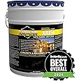 Armor AR350 Low Gloss Wet Look Concrete Sealer 5 Gallon - Professional Grade Color Enhancing Solvent Based Acrylic Sealer for Exterior Concrete and Pavers - 50 VOC