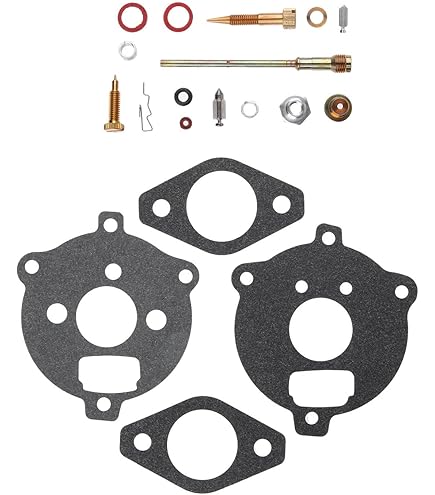 Amazon.com: Briggs & Stratton 299577 Engine Gasket Set : Patio