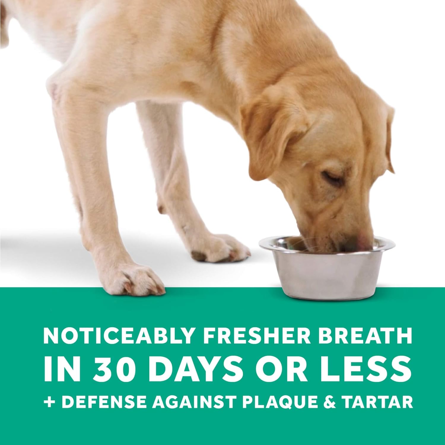 TropiClean Fresh Breath Puppy Teeth Cleaning, Puppy Dental Care for Bad Breath, Breath Freshener, Water Additive Mouthwash - Image 5