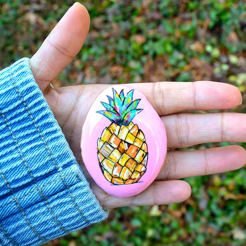 BigOtters Painting Rocks, 12 Rocks for Painting Kindness Rocks Range from About 2 to 3 inches, About 3.7 pounds of Rocks