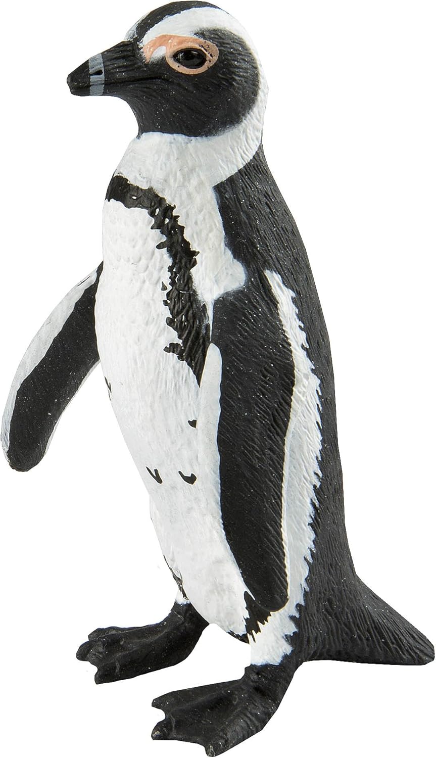 Safari Ltd. African Penguin Realistic Hand Painted Toy Figurine Model Quality Construction from Phthalate, Lead and BPA Free Materials for Ages 3 and Up