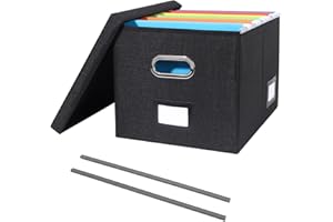 Tcbelosion Portable File Organizer Box with Lid, Filing Box with Handle, Multi-Label Slots, Perfect for Office/Home/Decor (Li