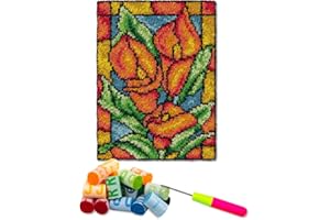DL-YTG Latch Hook Kits Rug Orange Flowers Crochet Yarn Cushion Colour Pre-Printed Canvas Cover Rug Needlework DIY Hook and Latch Kit Home Decoration 52x38cm/20 X15 inch