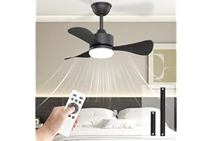 Hisummer 28 Inch Black Ceiling Fan with Light and Remote, Small Modern Reversible 6-Speed Fan for Bedroom, Kitchen, Patio, Indoor/Outdoor