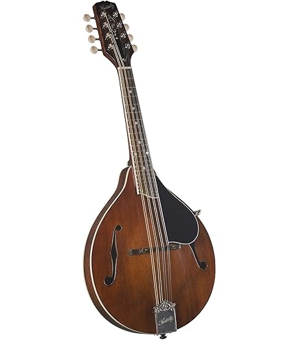 Amazon.com: Kentucky KM-500 Artist A-Model Mandolin – Sunburst