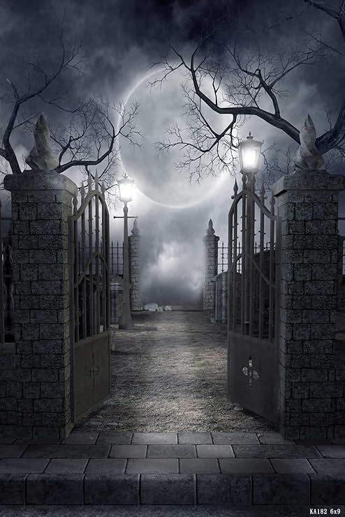 Terror Tree Moon Door Brick 6 W X 9 H Video Studio Amazon Co Uk Camera Photo