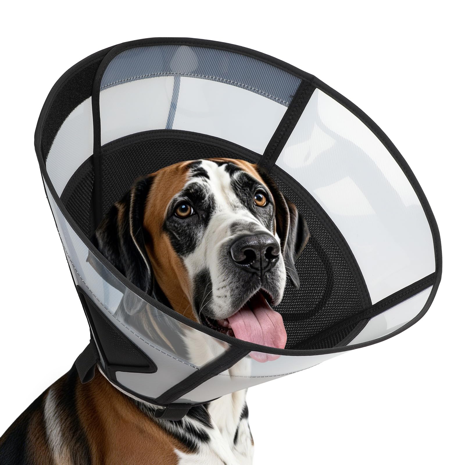 Photo 1 of Soft Dog Cone Collar for Large Dogs, Mesh Windows Transparent E Collar for Dog, Anti-Bite Lick Wound Healing After Surgery Neuter Safety Practical Comfy Plastic Cone Black XXL