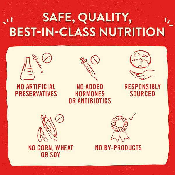 STELLA & CHEWY’S FREEZE-DRIED RAW LIL’ BITES CHICKEN LITTLE RECIPE SMALL BREED DOG FOOD, 7 OZ. BAG