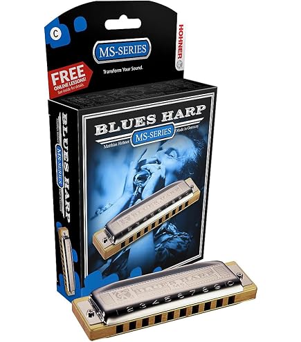 Amazon.com: Hohner 532BX-B Blues Harp, Key Of B Major : Everything