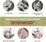 SeaMorn Cat Chew Sticks Matatabi Silvervine 30Pcs Natural Dental Care view 3