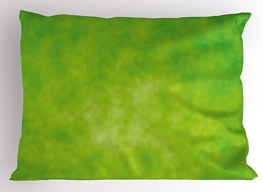 Amazon Com Ambesonne Lime Green Pillow Sham Cloudy Shade Of