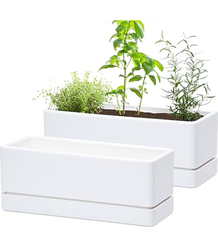 Amazon.com : Artevasi 5600442808148 Insert Santorini Pot 65 cm