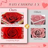 Hnustbo Eternal Rose Gift Set with Necklace for Women, Mum, Girlfriend view 8
