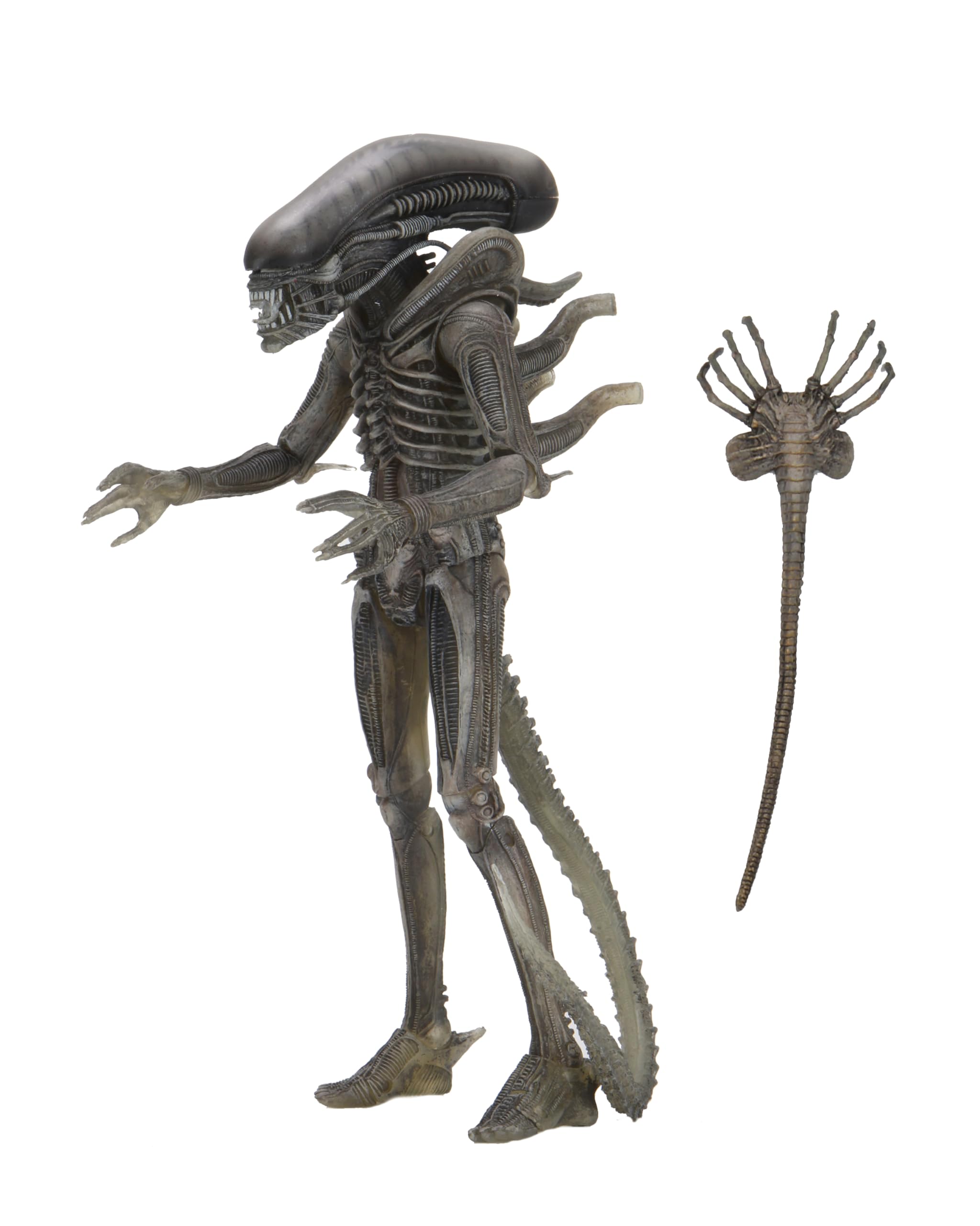 Photo 1 of NECA Alien 40th Anniversary 7” Scale Giger Action Figure